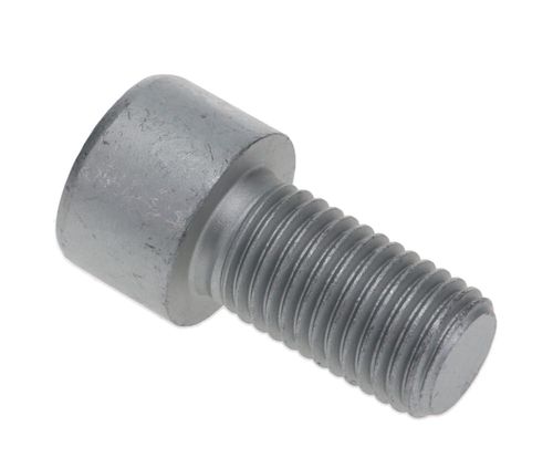 Wacker Neuson Cheese Head Screw OEM: 1000015363