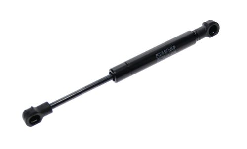 Gas Strut