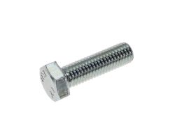 Screw