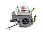 Carburettor (HVP2675)