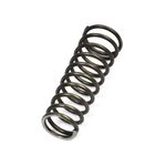 Gearstick Stop Plate Spring (HMP1798)