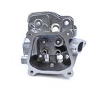 Cylinder Head Assy (HEN1101)