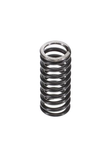 Internal Governor Spring