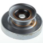 Poly V-Belt Clutch Pulley