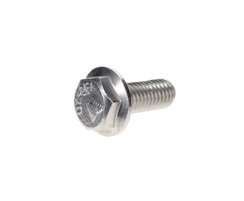 Flange Screw