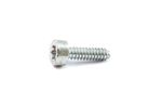 Self-Tapping Screw 4X15 (HDC1192)