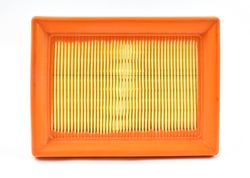 Air Filter Main Genuine