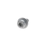 Wacker Screw With Washer - OEM Number 5000160861