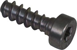 Self-Tapping Screw 6X19