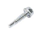 Self Drilling Screw 14X1" (HFX2336)