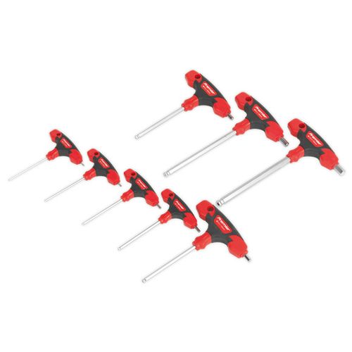 T Handle Hex Set (2-10mm)