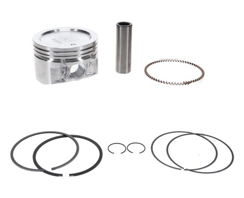 Briggs & Stratton Vanguard Piston & Ring Kit OEM Number: 843951