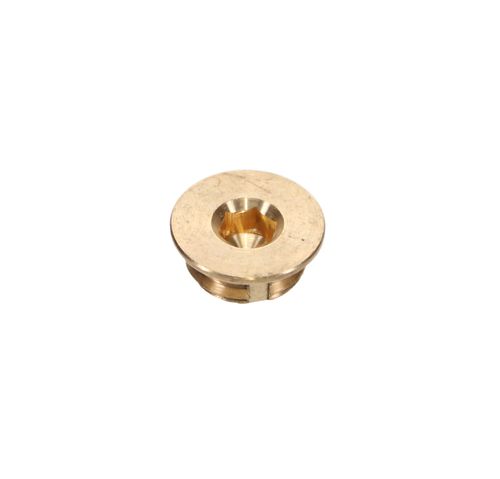 Locking Plug