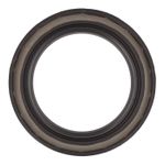 Oil Seal-1