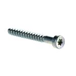 Self Tapping Screw 6 X 50