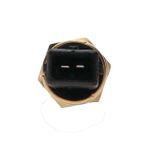 "Genuine Lombardini Water Temp Switch - OEM Number: 9195108 – Accurate Temperature Control"-2