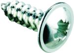 Self Tapping Screw Pzd Flange 8X1/2"