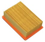 Air Filter Genuine