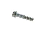 Screw 6X30