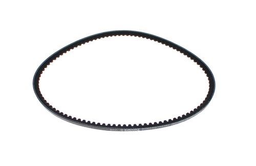 Bomag V-Belt - OEM Number: 06312046
