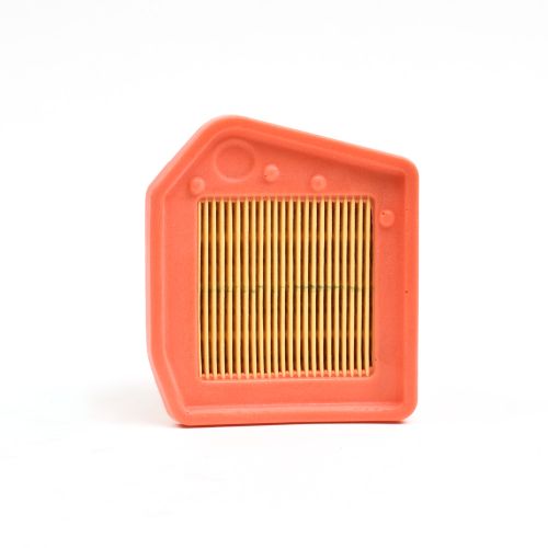 Air Filter Element Genuine