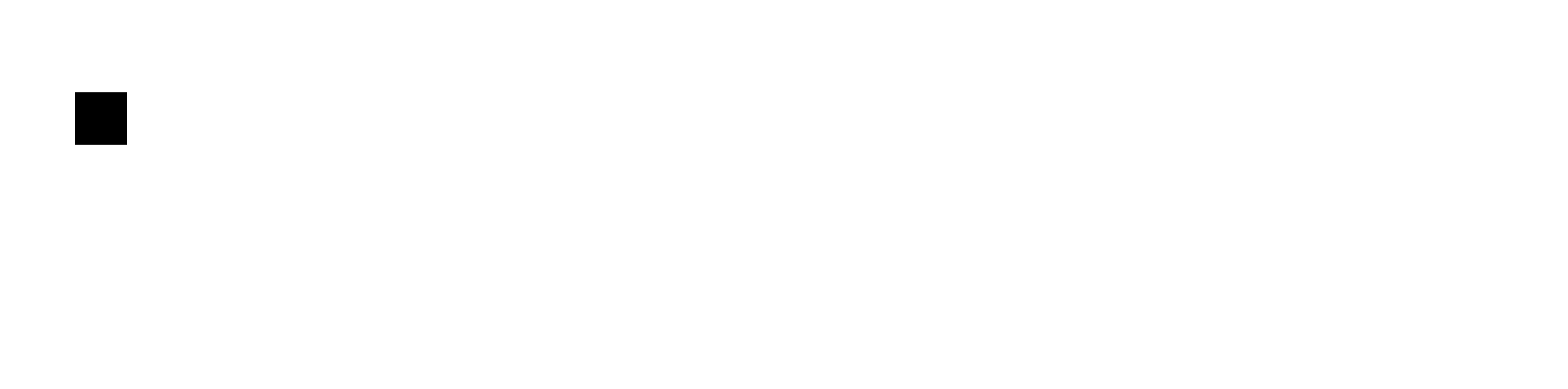 Holstor Logo