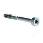 Self-Tapping Screw