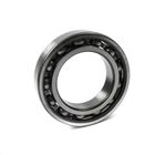 Bearing (HMX0339)