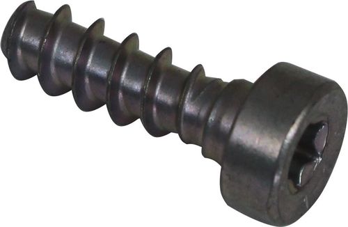 Self-Tapping Screw 6X19