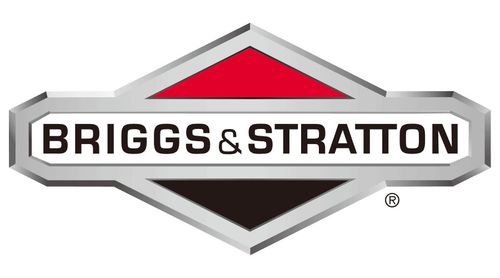 Briggs & Stratton Engine Parts