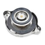 Radiator Cap Terex (HMP1130)