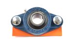 Bearing Set (2) (HDC0144)