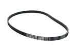 Poly V Drive Belt