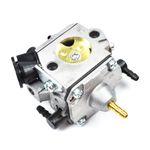 Carburettor (HBR0495)