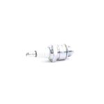 Spark Plug Br4Lm (HST0649)