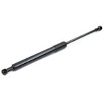 JCB Style Gas Strut OEM: 294/00934 (HTL2591)