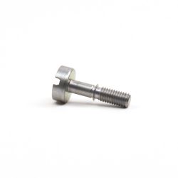 Screw Is-M5X21