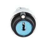 Key Switch 2 Pole, 2 Position (HEL2980)