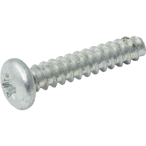 Screw 55 X 25