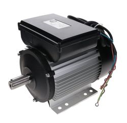 Motor 110V