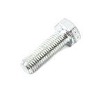 Screw 5/16" X 1" (HVP0541)