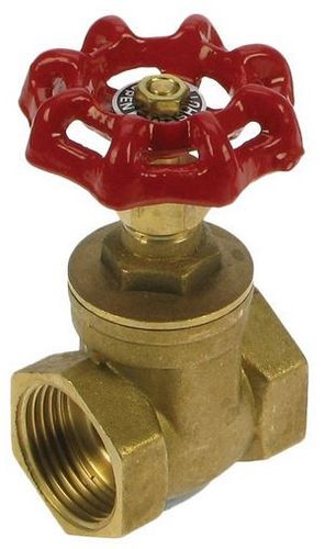 1" Gate Valve Inline