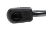 Wacker Neuson Pedal Gas Strut-1