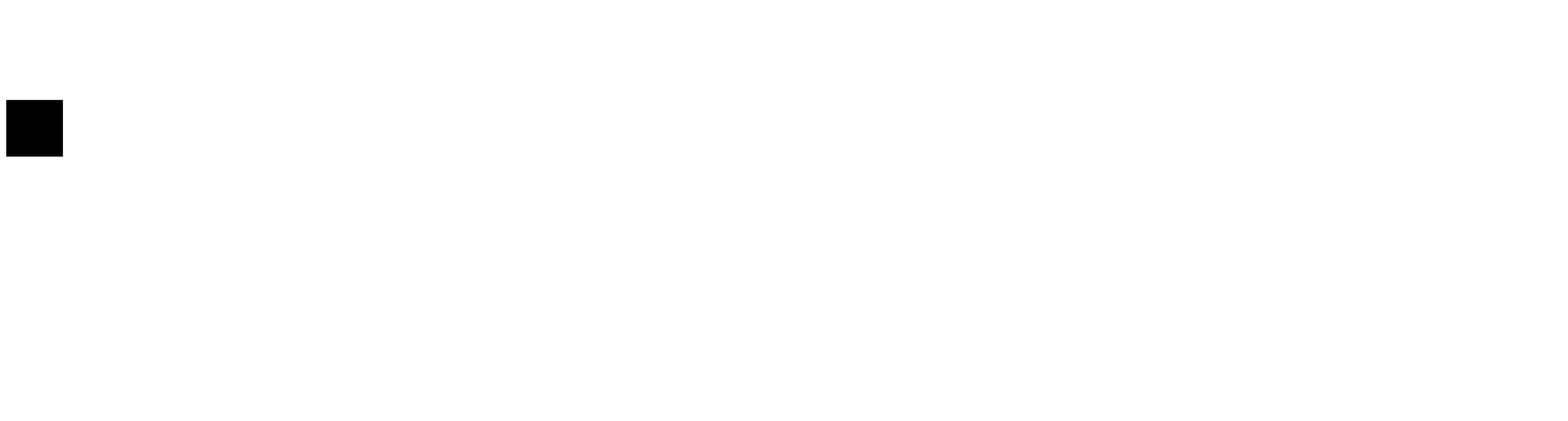 Holstor Logo
