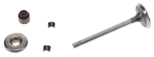 Briggs & Stratton Inlet Valve Kit OEM Number: 807680
