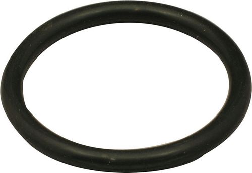 O Ring - Volute