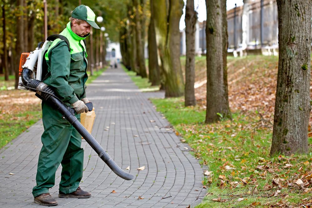 Which Leaf Blower is Best for You?