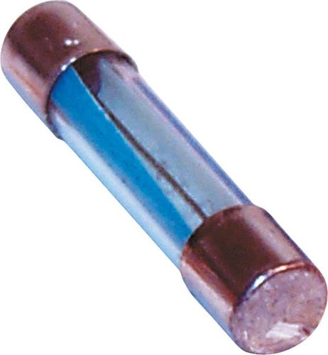 Glass Fuse 5 Amp Pk100 Holworx