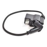 Stihl TS800 Ignition Coil (HDC4306)