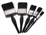 Paint Brushes  1/2" - 3" Premium | Assortment Pack Of 5